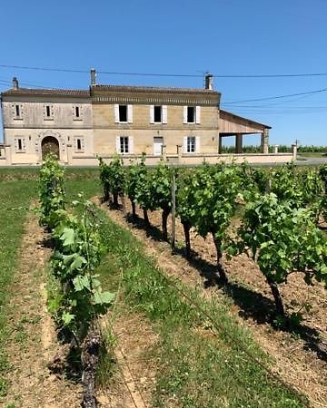 Gite Du Chateau La Rose Des Vents Villa Puisseguin Kültér fotó