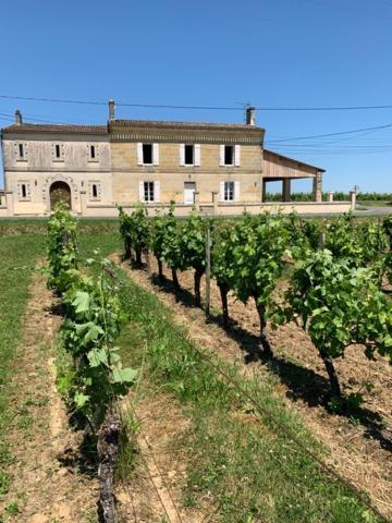 Gite Du Chateau La Rose Des Vents Villa Puisseguin Kültér fotó